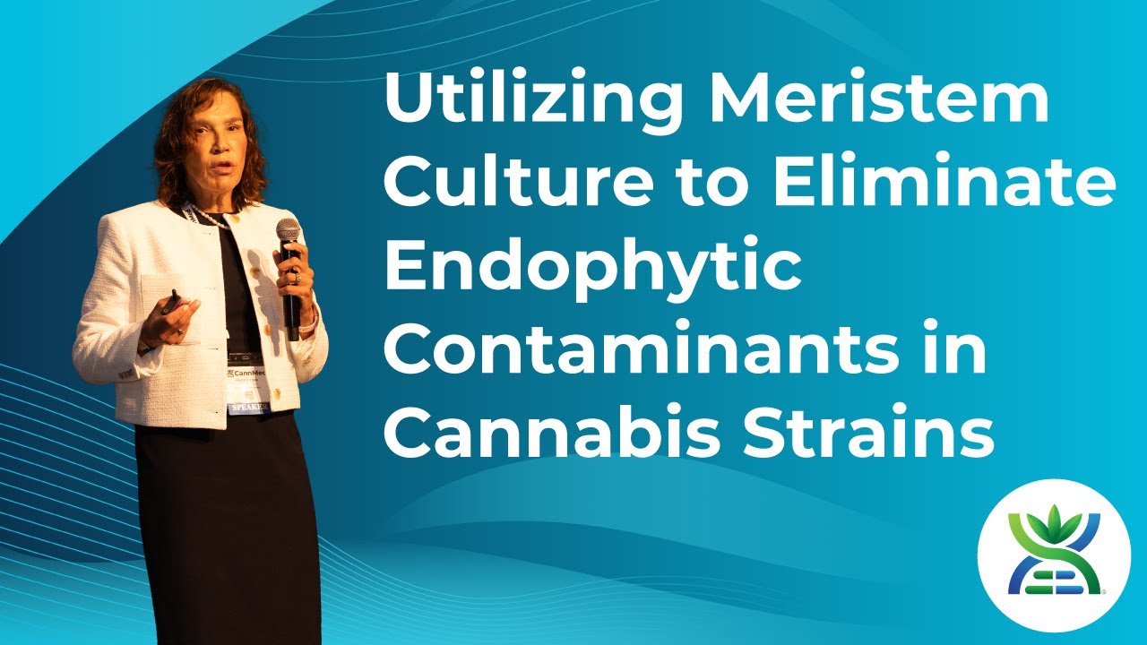 Maria Rojas Cea Maria Rojas - CannMed 2026 - Innovation & Collaboration Summit | Lake Tahoe
