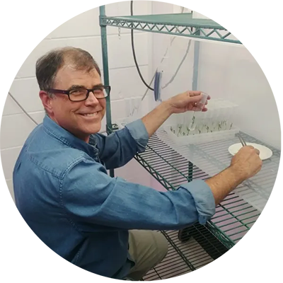 Headshot of William Graham